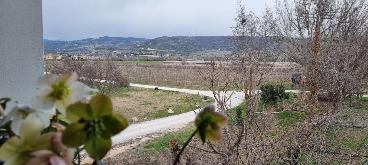 Agriturismo Alle Albare Montorio Veronese Exterior foto